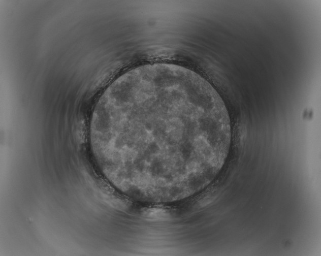 X0000114420224200911131458