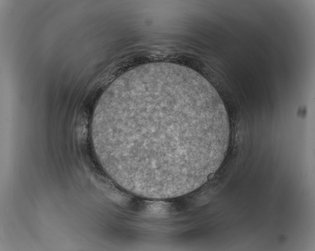 X0000114420226200911131458