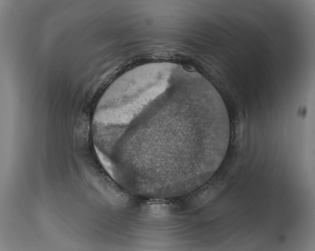 X0000114420228200911131458