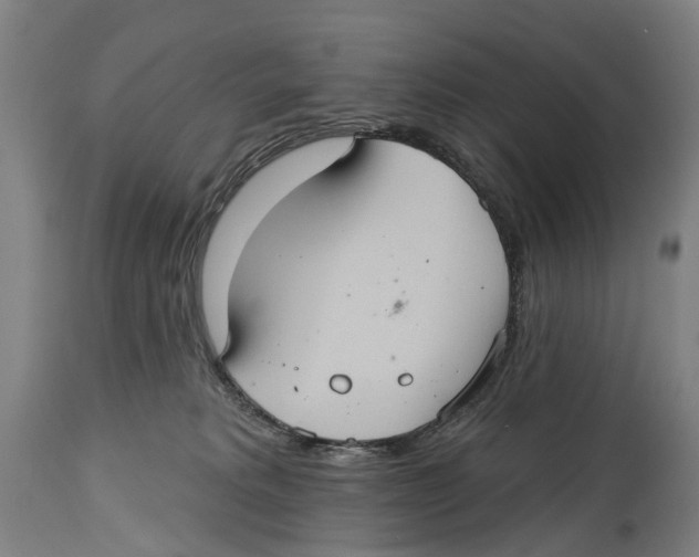 X0000114420229200911131458