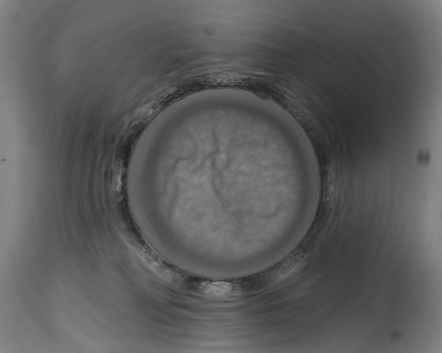 X0000114420230200911131458