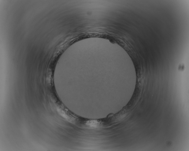 X0000114420231200911131458