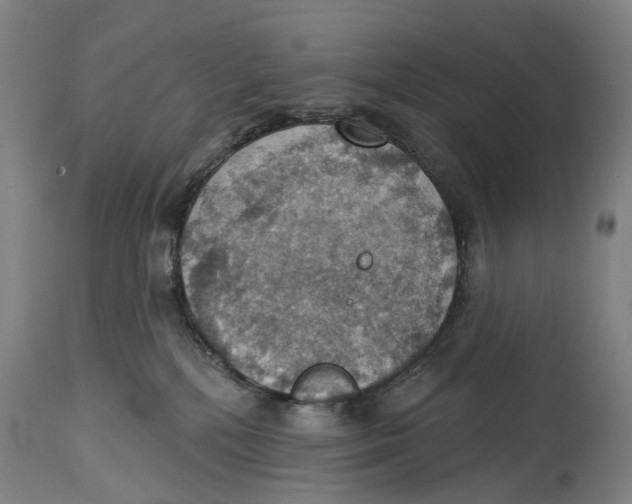 X0000114420232200911131458