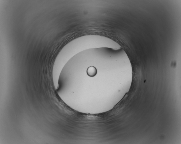X0000114420233200911131458