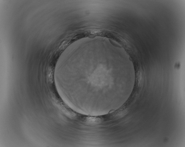 X0000114420234200911131458