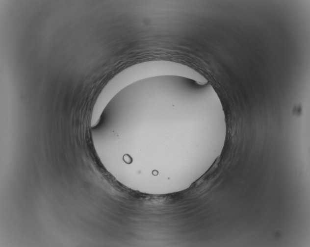 X0000114420235200911131458