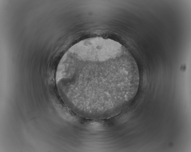 X0000114420236200911131458