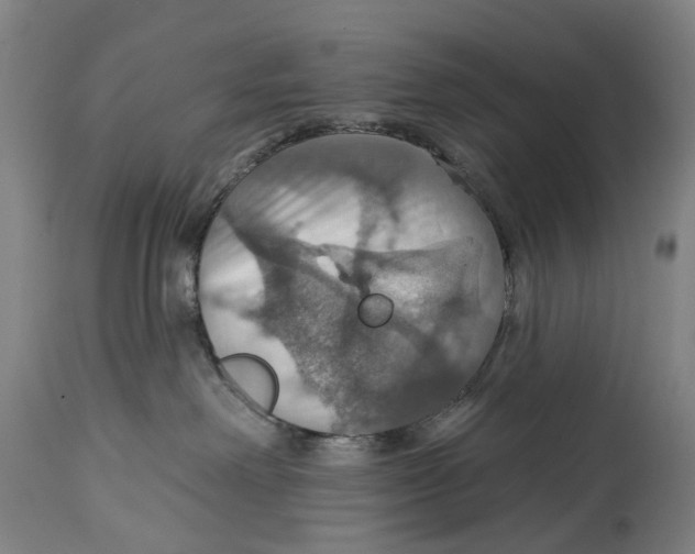 X0000114420238200911131458