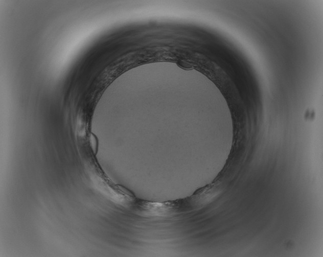 X0000114420239200911131458