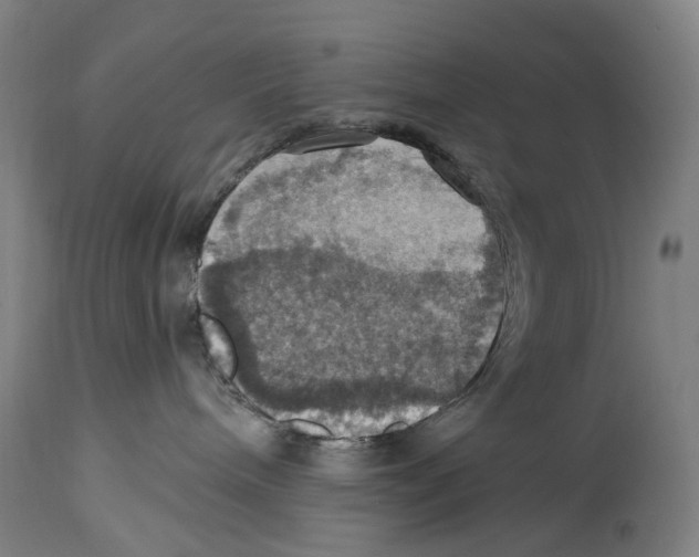 X0000114420240200911131458