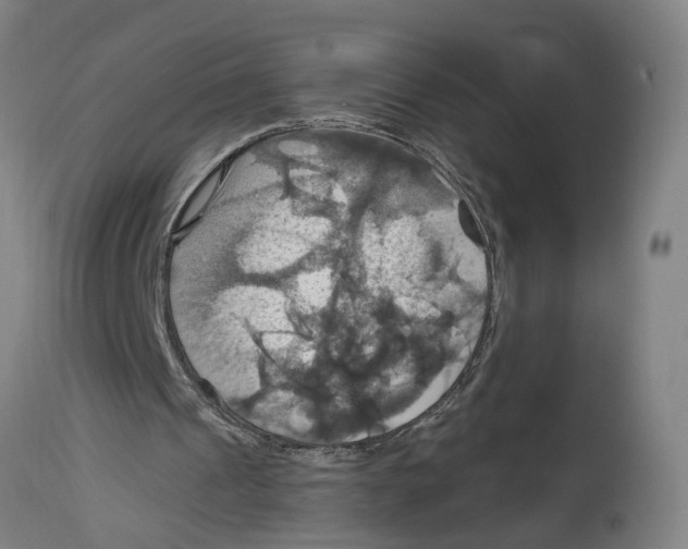 X0000114420241200911131457