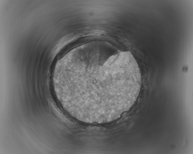 X0000114420242200911131457