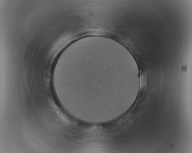 X0000114420243200911131457