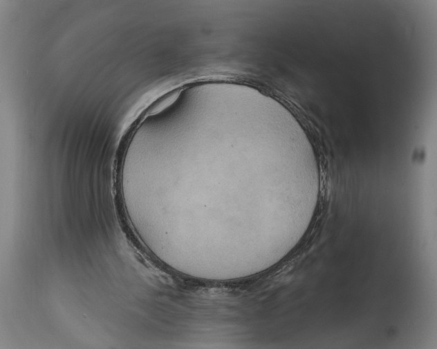 X0000114420244200911131457