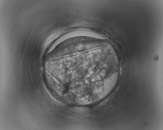 X0000114420245200911131457