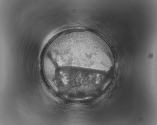 X0000114420246200911131457