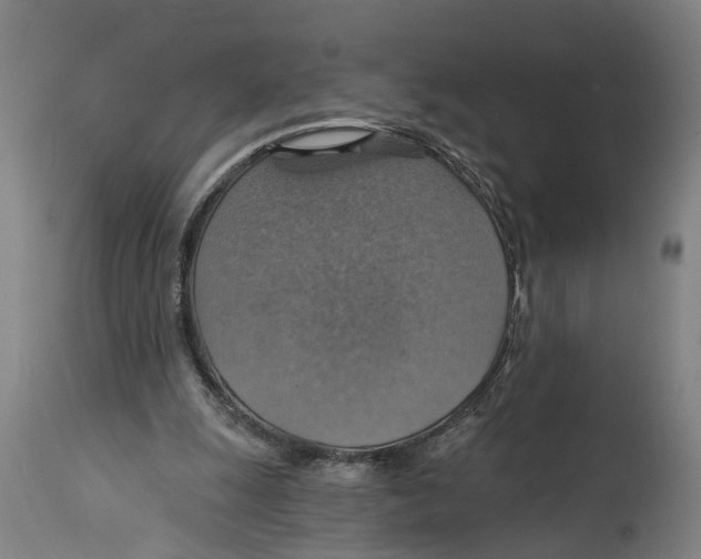 X0000114420247200911131457