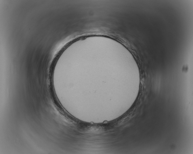 X0000114420248200911131457