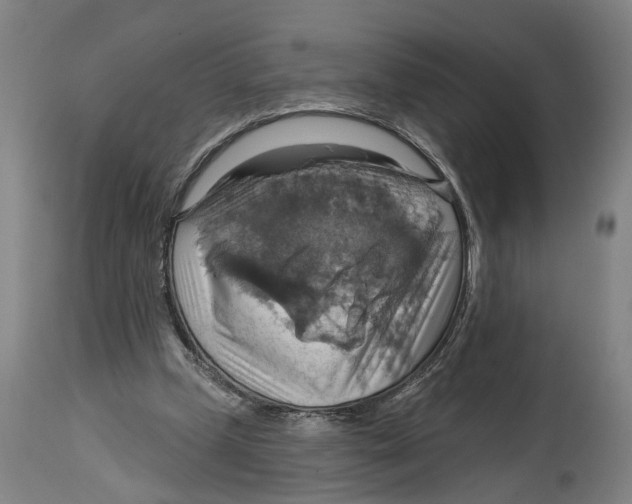 X0000114420249200911131457