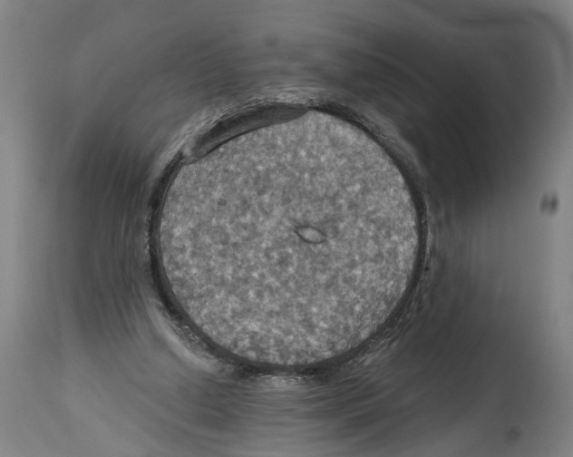 X0000114420250200911131457