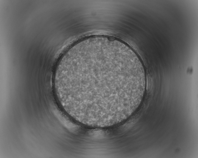 X0000114420253200911131457