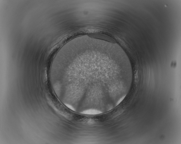 X0000114420254200911131457