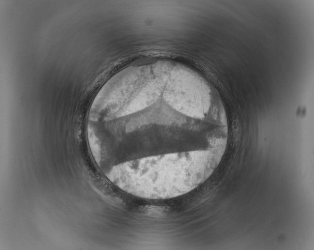 X0000114420255200911131457