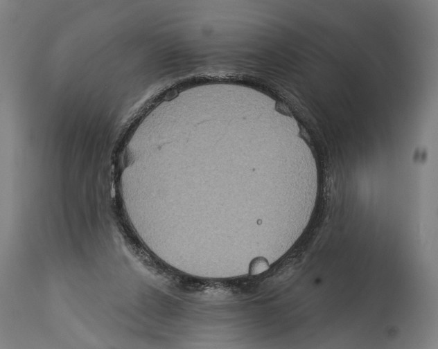 X0000114420256200911131457