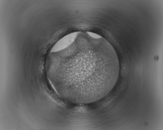 X0000114420259200911131457