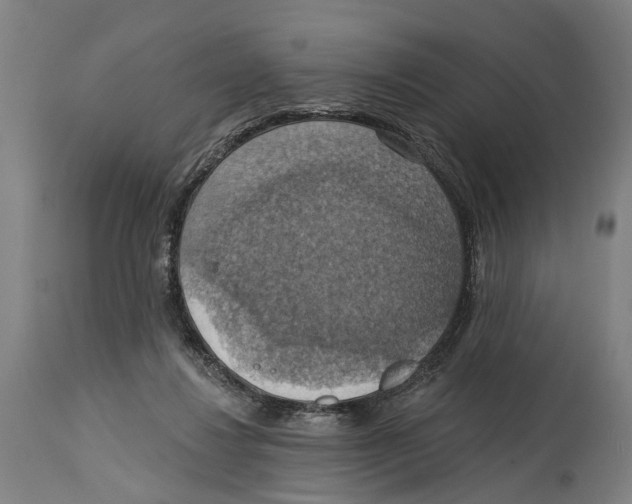 X0000114420260200911131457