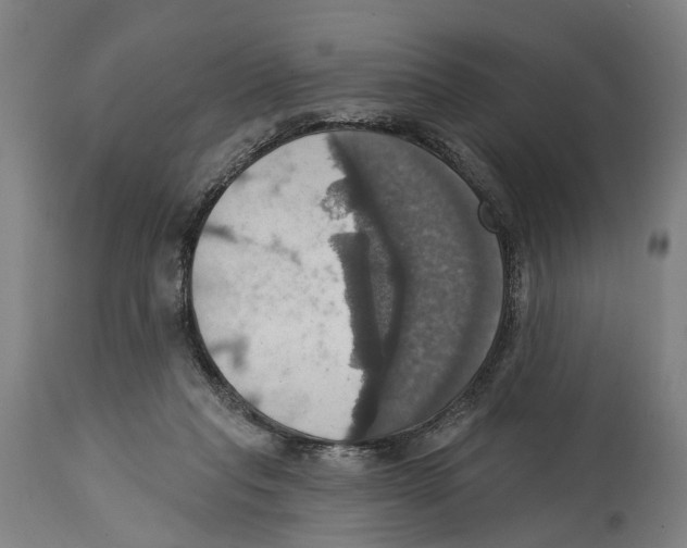 X0000114420261200911131457