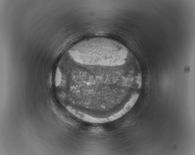 X0000114420262200911131457