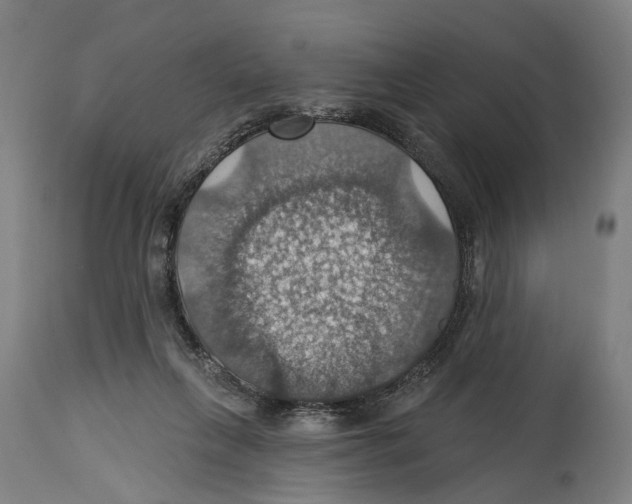 X0000114420263200911131457