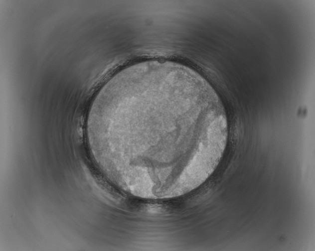 X0000114420264200911131457