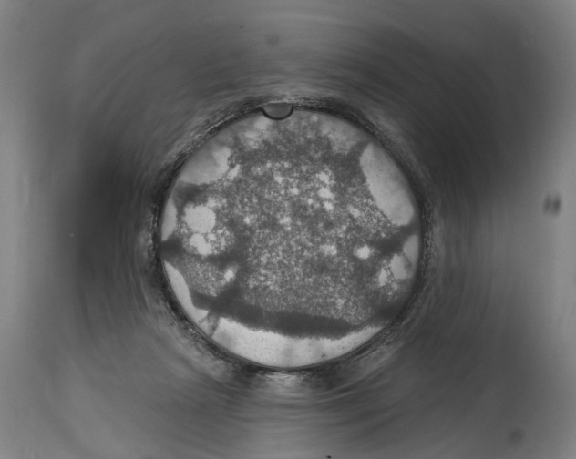 X0000114420265200911131457