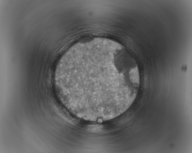 X0000114420266200911131457