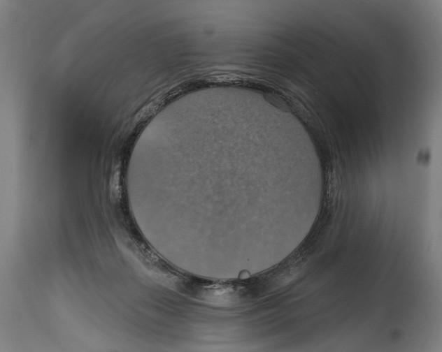 X0000114420267200911131457