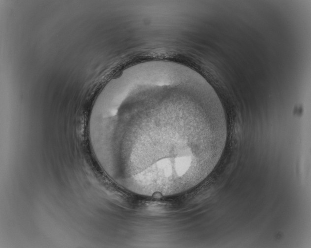 X0000114420268200911131457