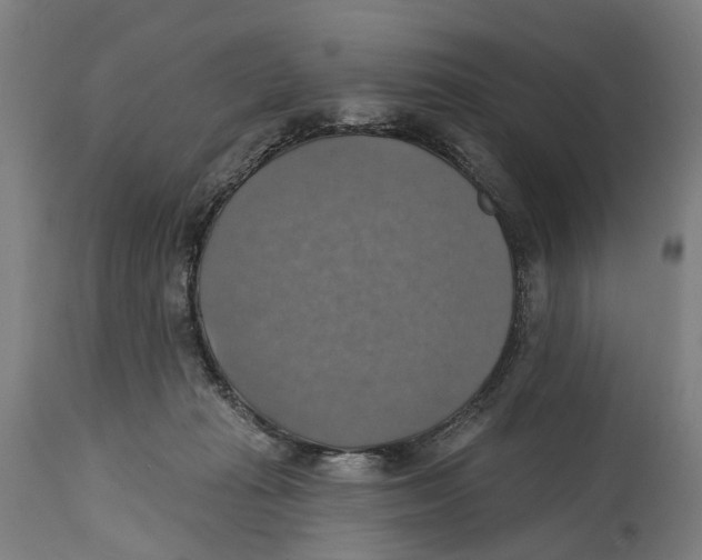 X0000114420269200911131457