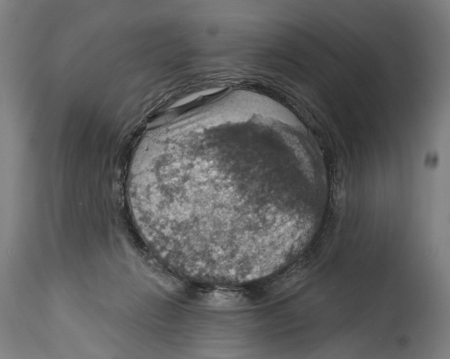 X0000114420270200911131457