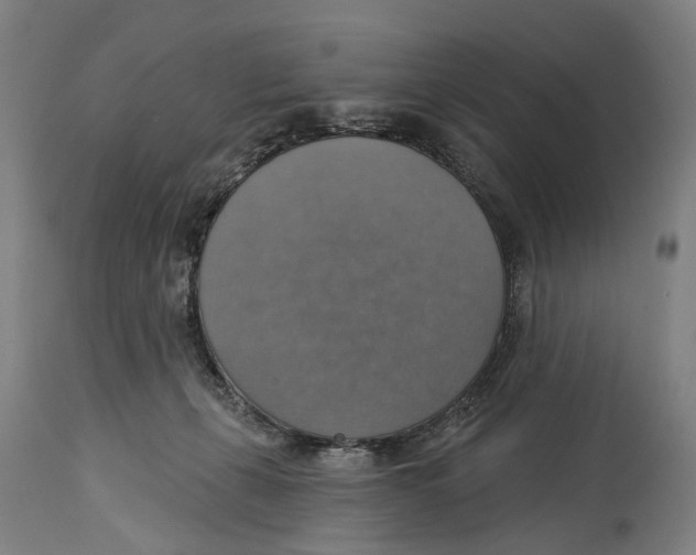 X0000114420271200911131457