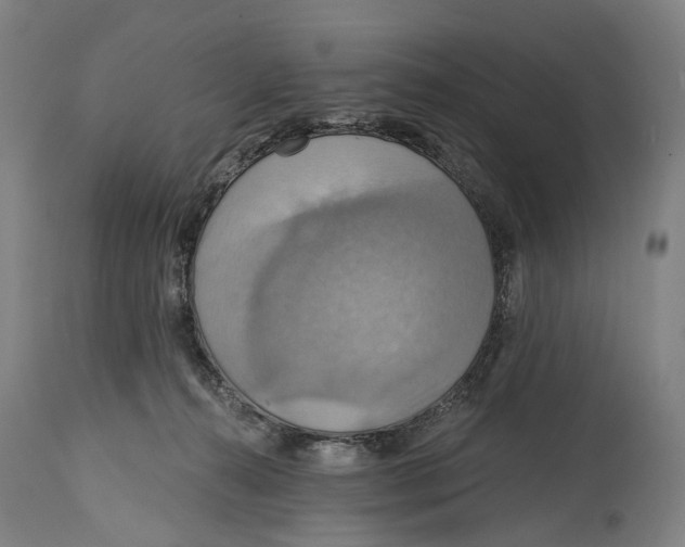 X0000114420272200911131457