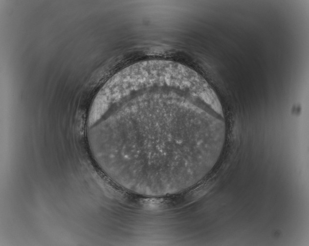 X0000114420273200911131457