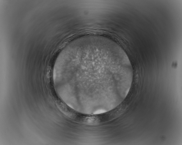 X0000114420275200911131457