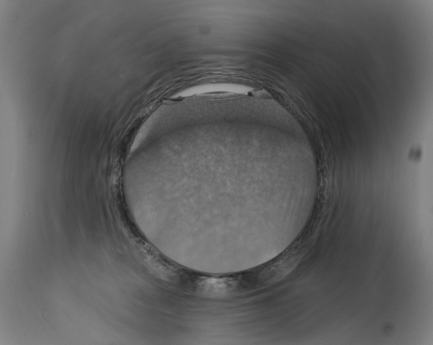 X0000114420277200911131457