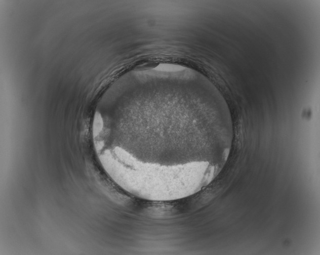 X0000114420278200911131457