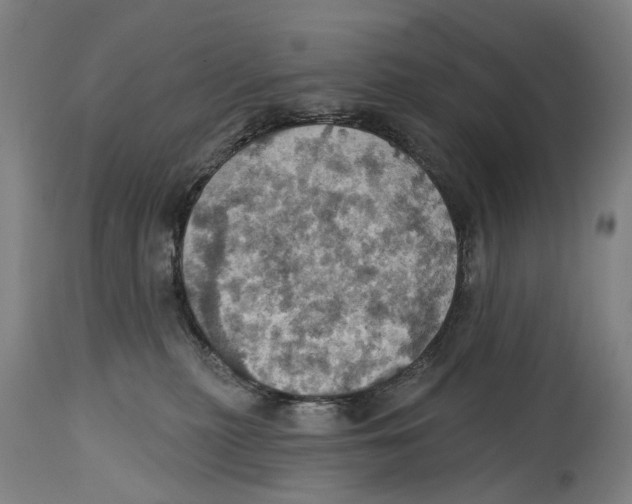 X0000114420279200911131457