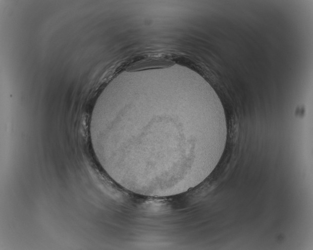 X0000114420280200911131457