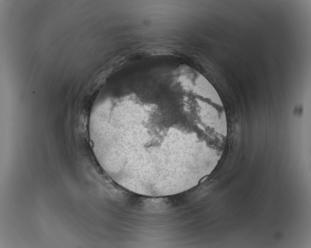 X0000114420281200911131457