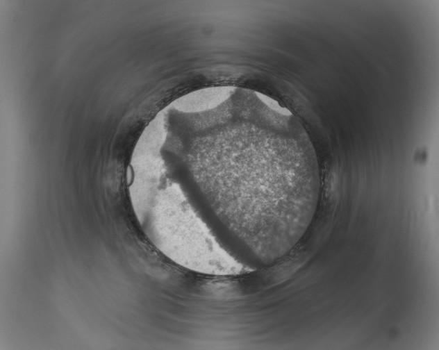 X0000114420283200911131457